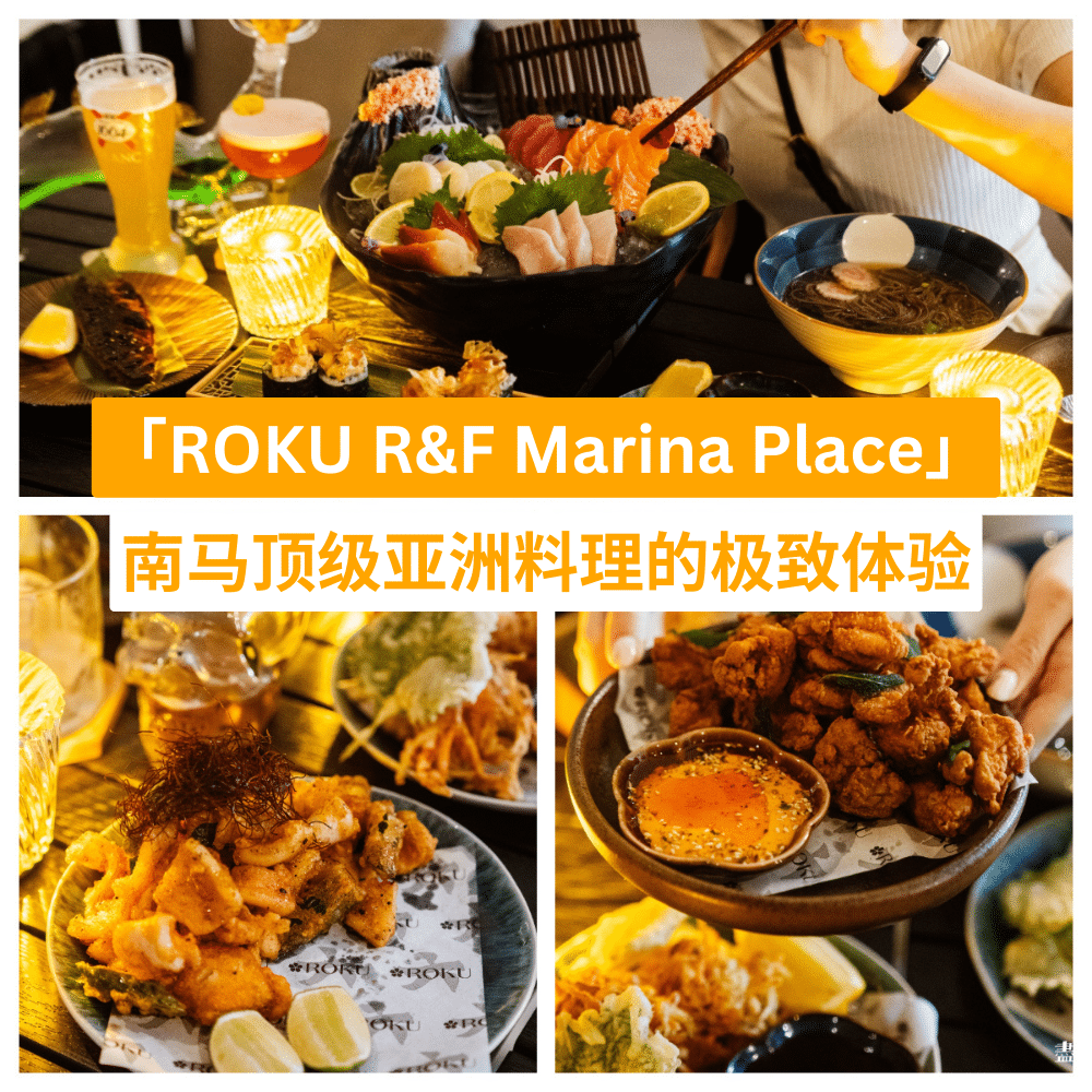 六 ROKU